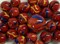 25 Marbles SCARLET MACAW Red Blue Stripes Yellow Glass game pack Shooter